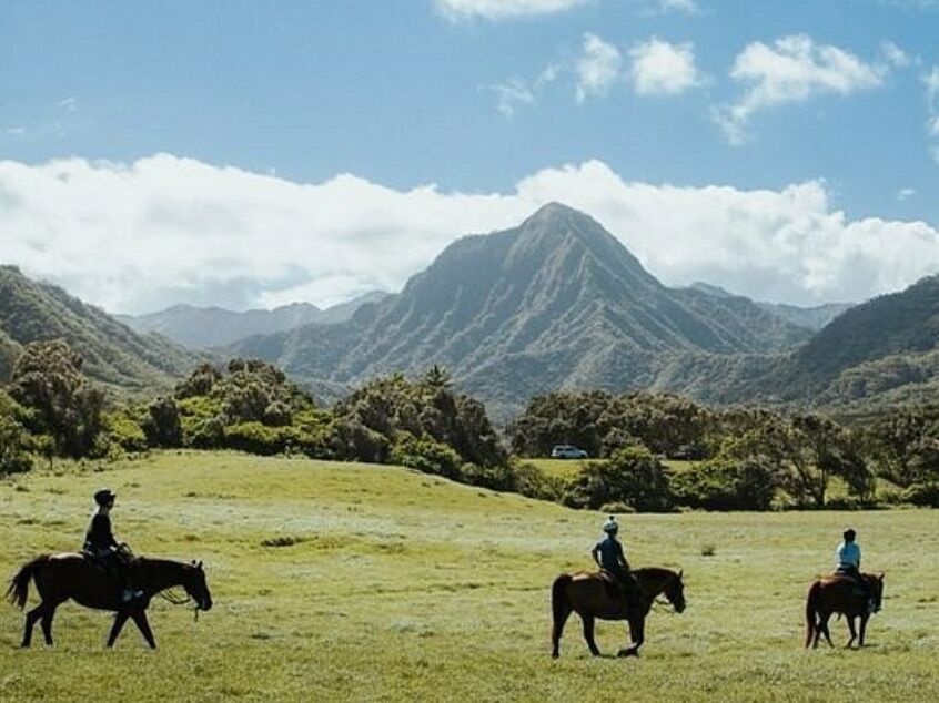 Picture of Visit Kualoa Ranch!