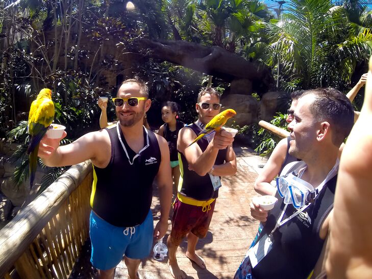 Tropical Bird Interaction Cocktail Hour
