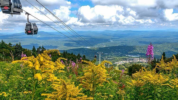 Picture of Stratton Mountain