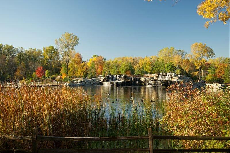 Picture of Bay Beach Wildlife Sanctuary