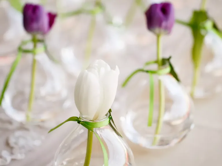 Tulip Escort Cards and Favors