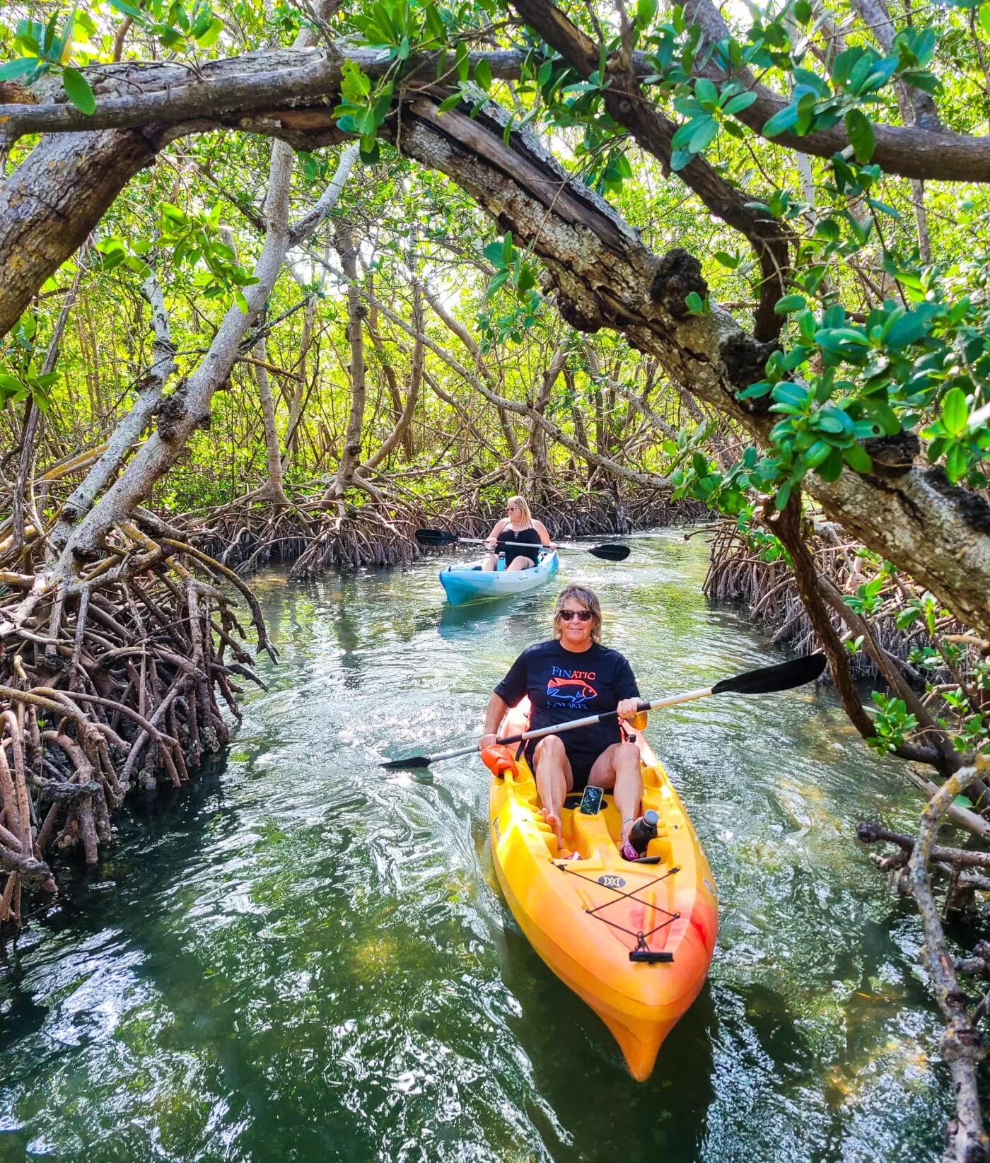 Picture of Lido Key Mangrove Kayak Tours