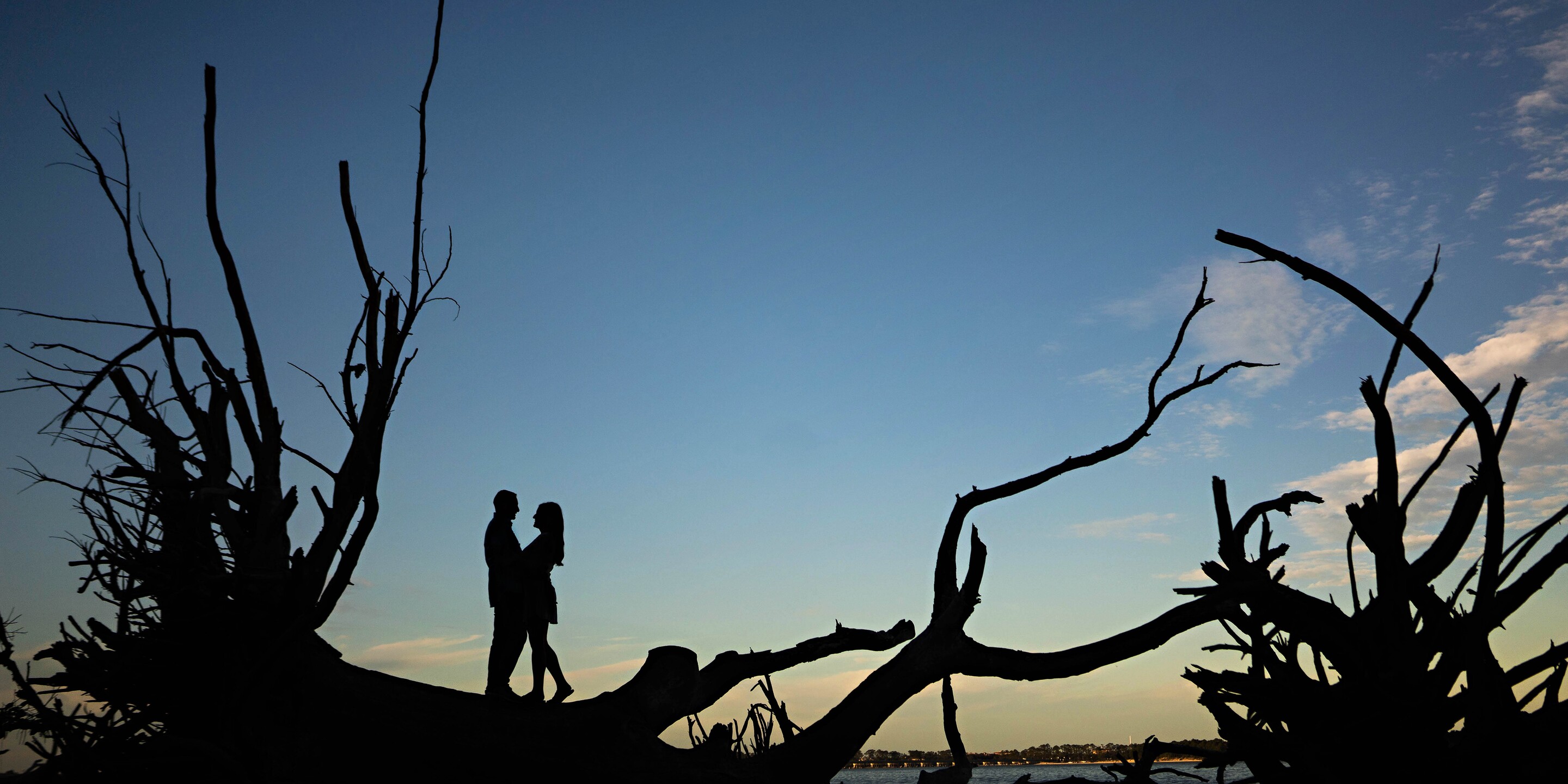 Brianna & Billy Home Page Banner