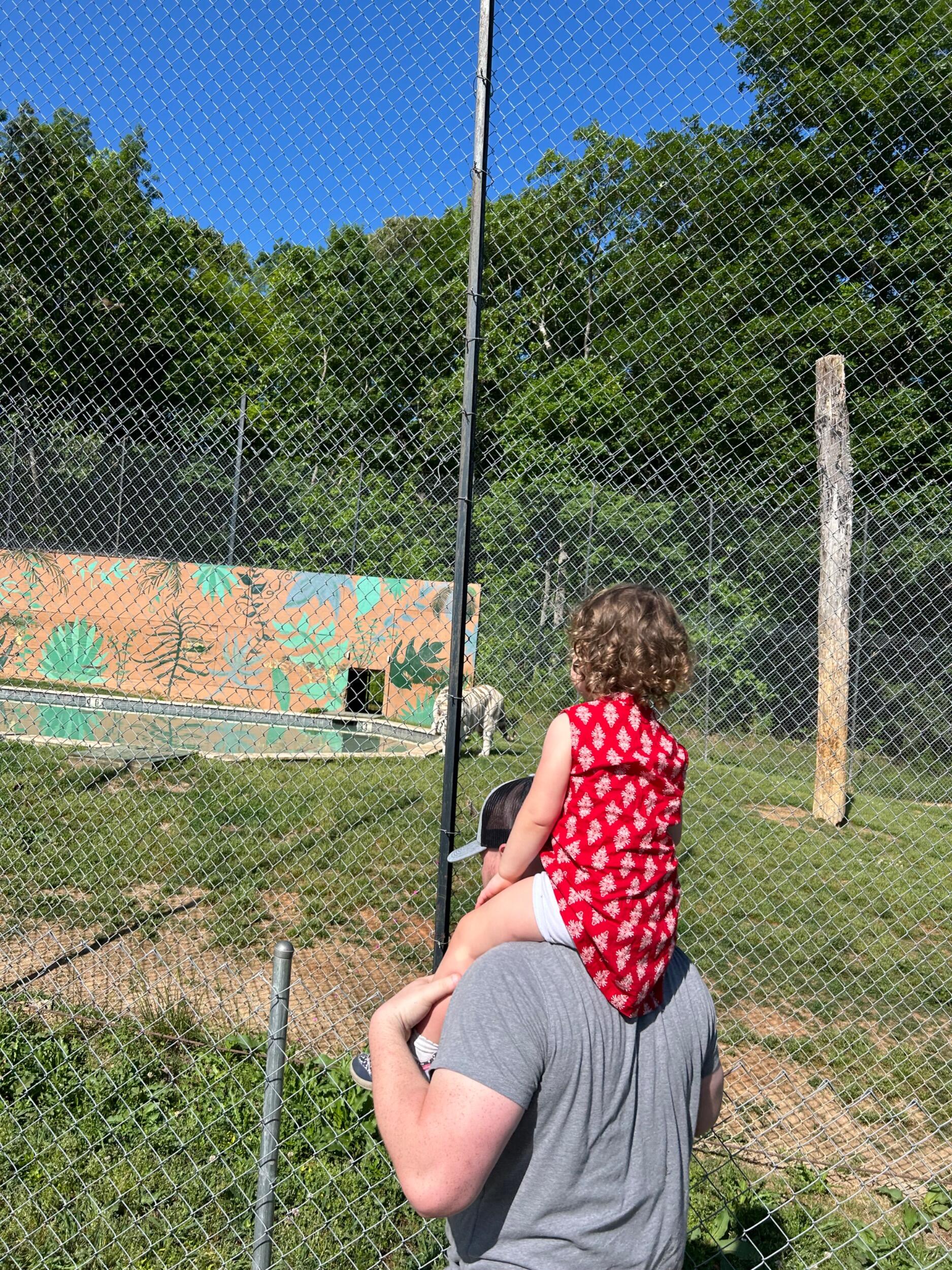 Trips to See Animals