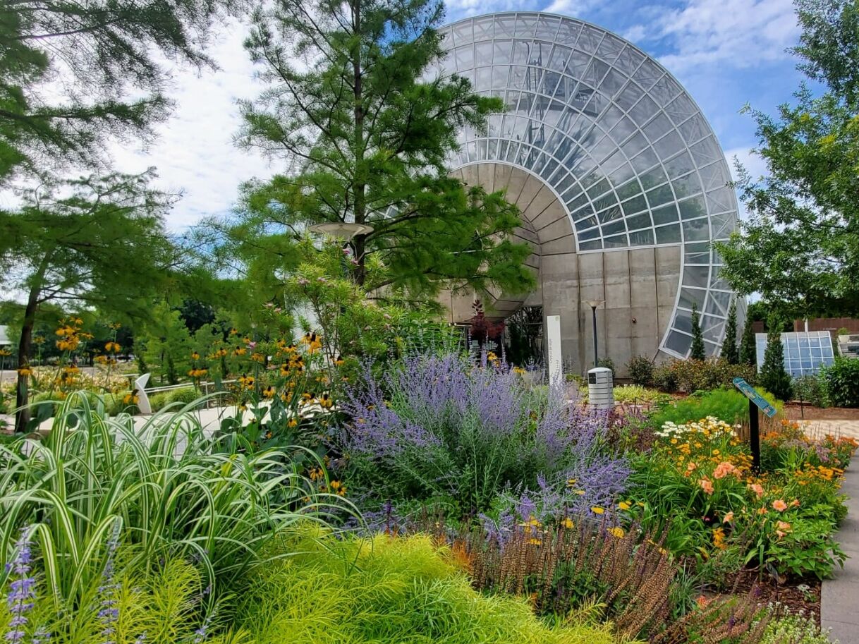 Picture of Myriad Botanical Gardens