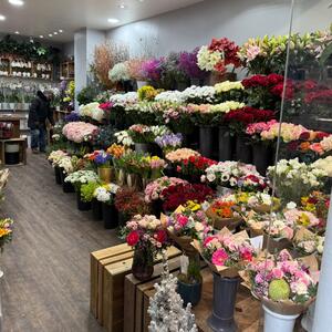Gallery Photo 28