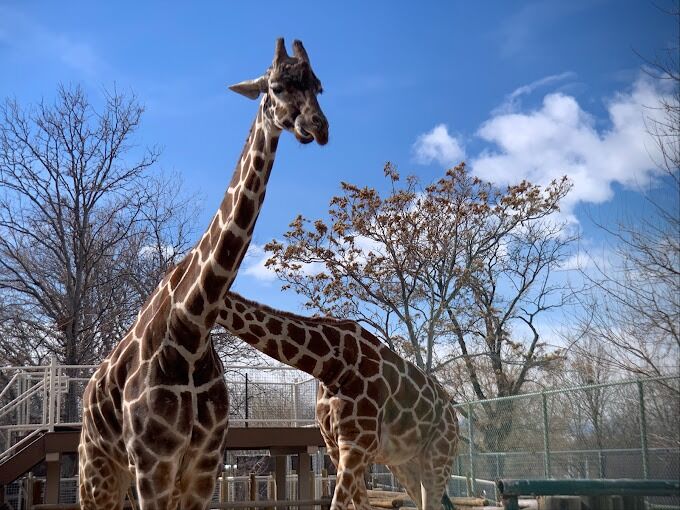 Picture of Denver Zoo