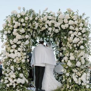 Gallery Photo 253