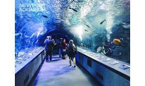 Picture of Newport Aquarium