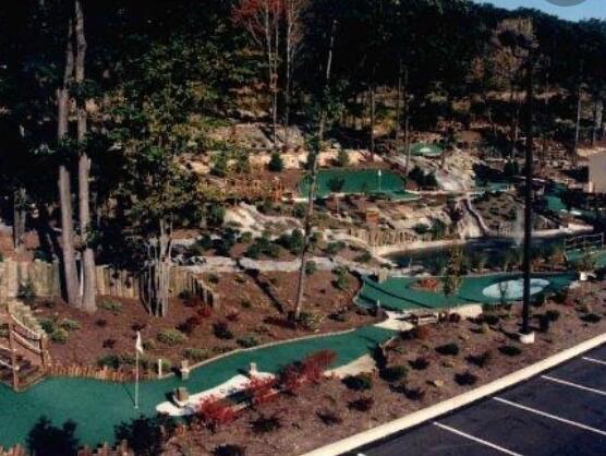 Picture of Lahey Family Fun Park