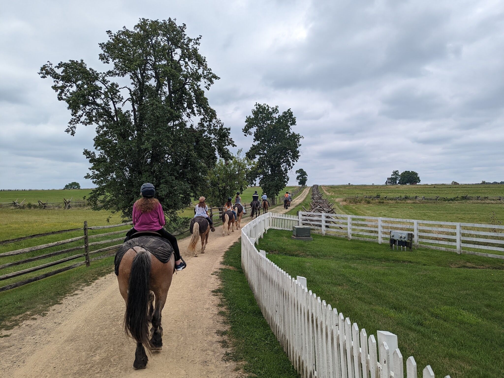 Picture of Hickory Hollow Horse Farm