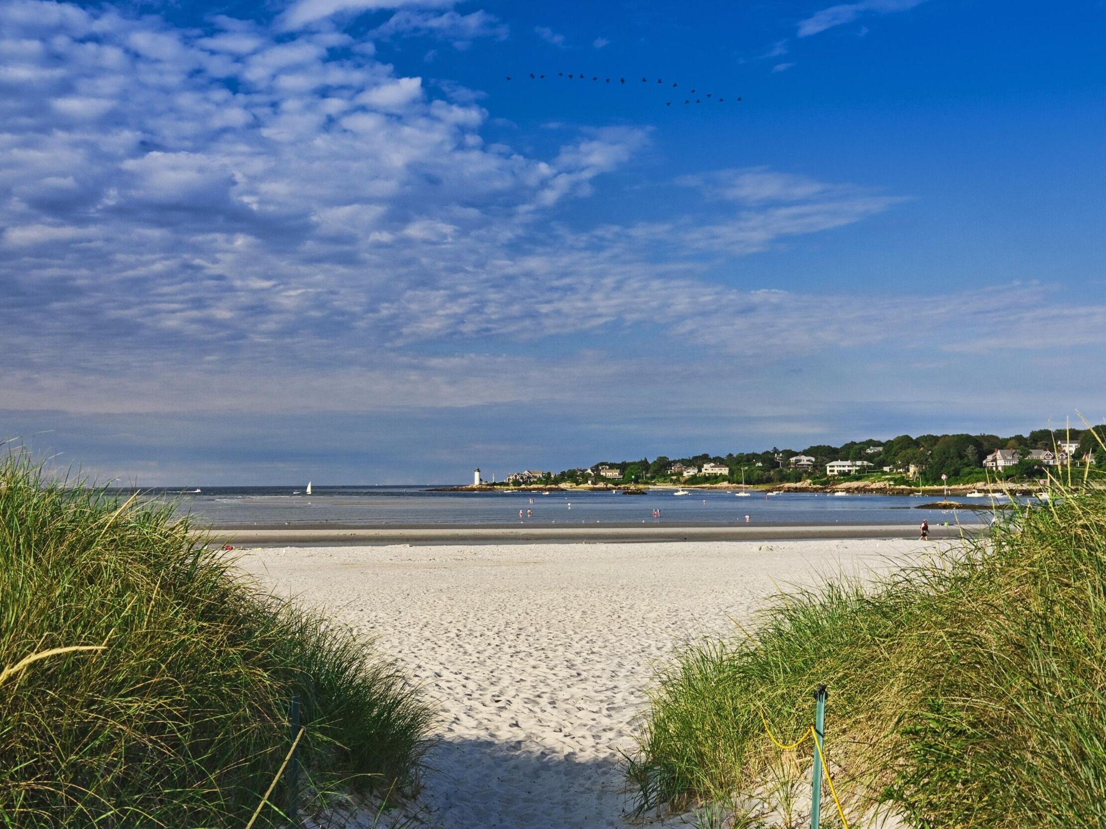 Picture of Wingaersheek Beach
