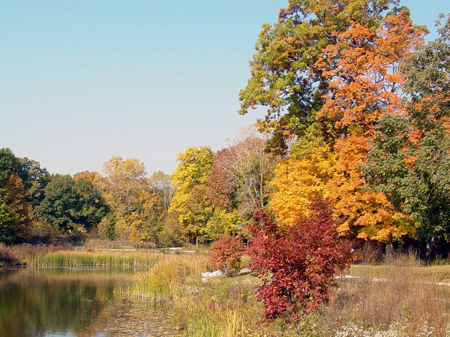 Picture of Lake County Forest Preserves