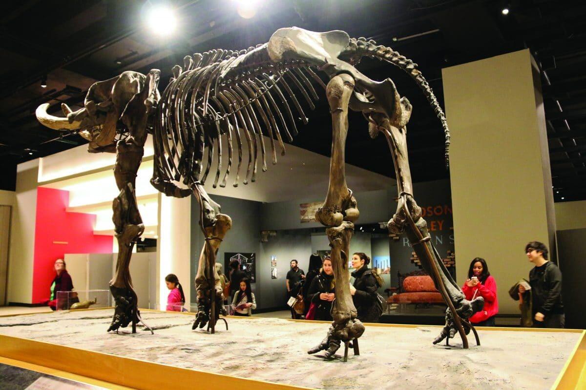 Picture of New York State Museum