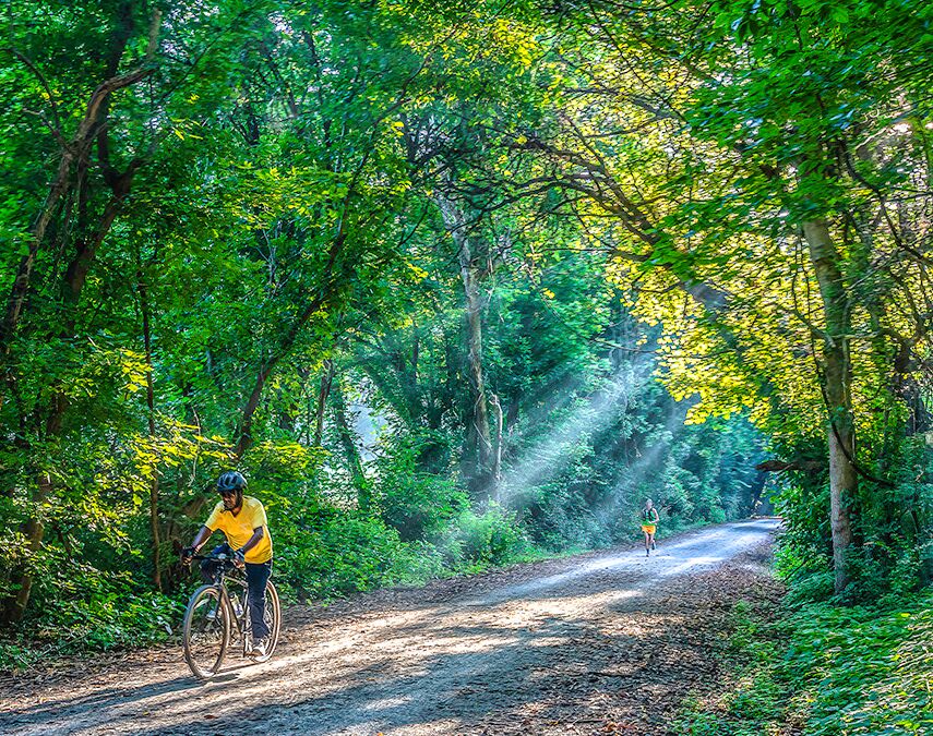 Picture of Katy Trail State Park