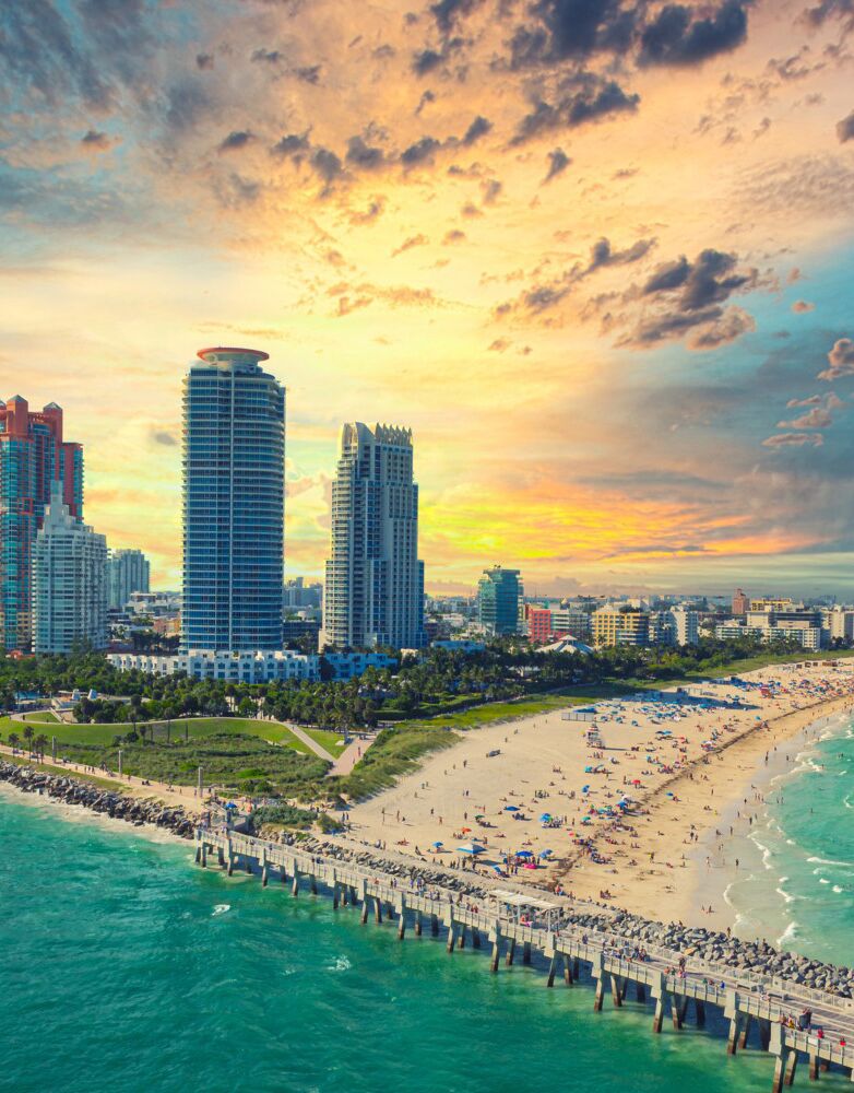 Picture of Miami Baby 