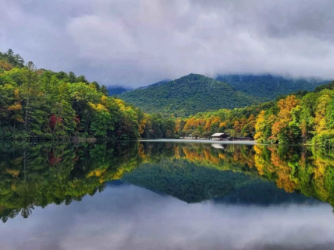 Picture of Vogel State Park