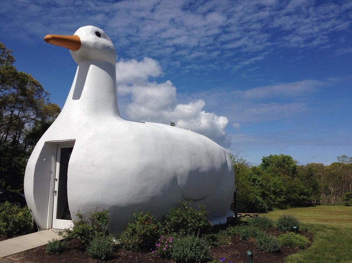 Picture of The Big Duck
