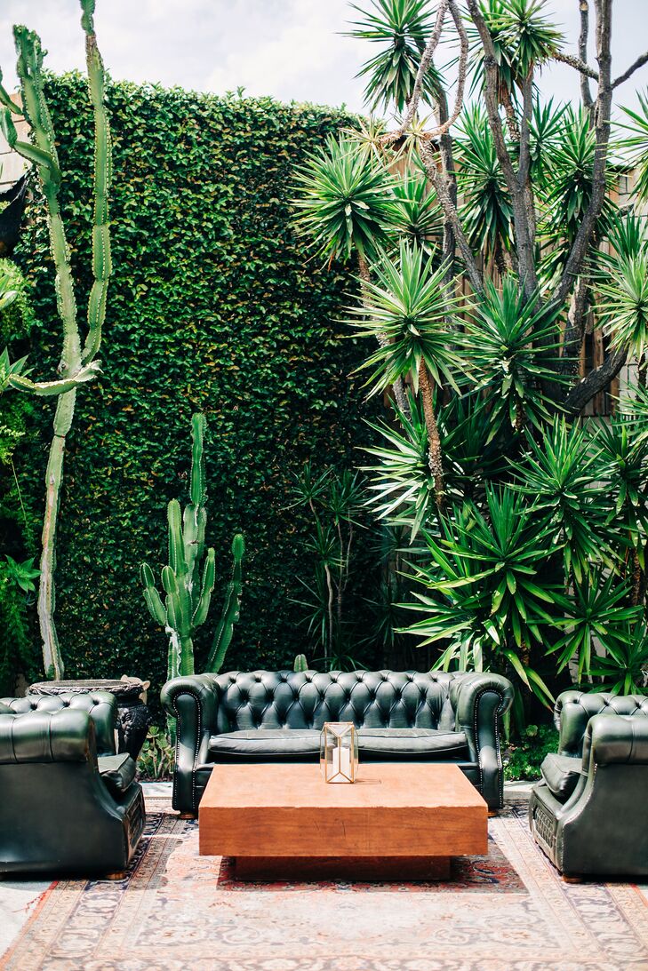 Cocktail Hour with Plants and Lounge Furniture