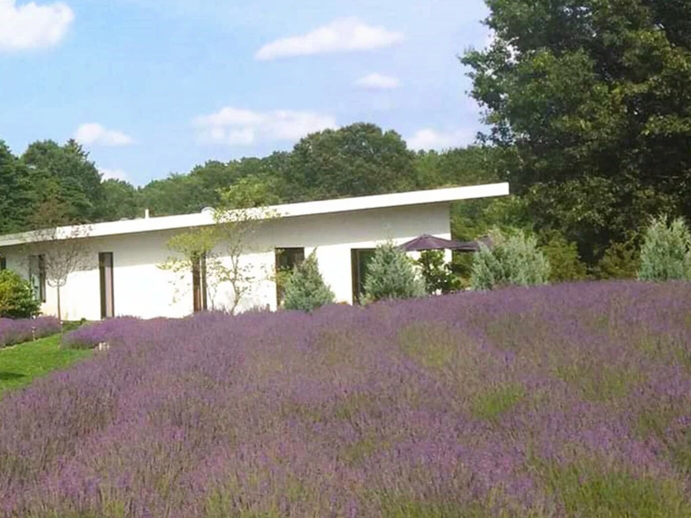 Picture of Summerhouse Lavender Farm