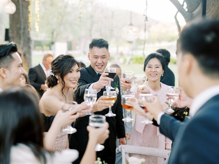 Wedding guests toasting during wedding reception.