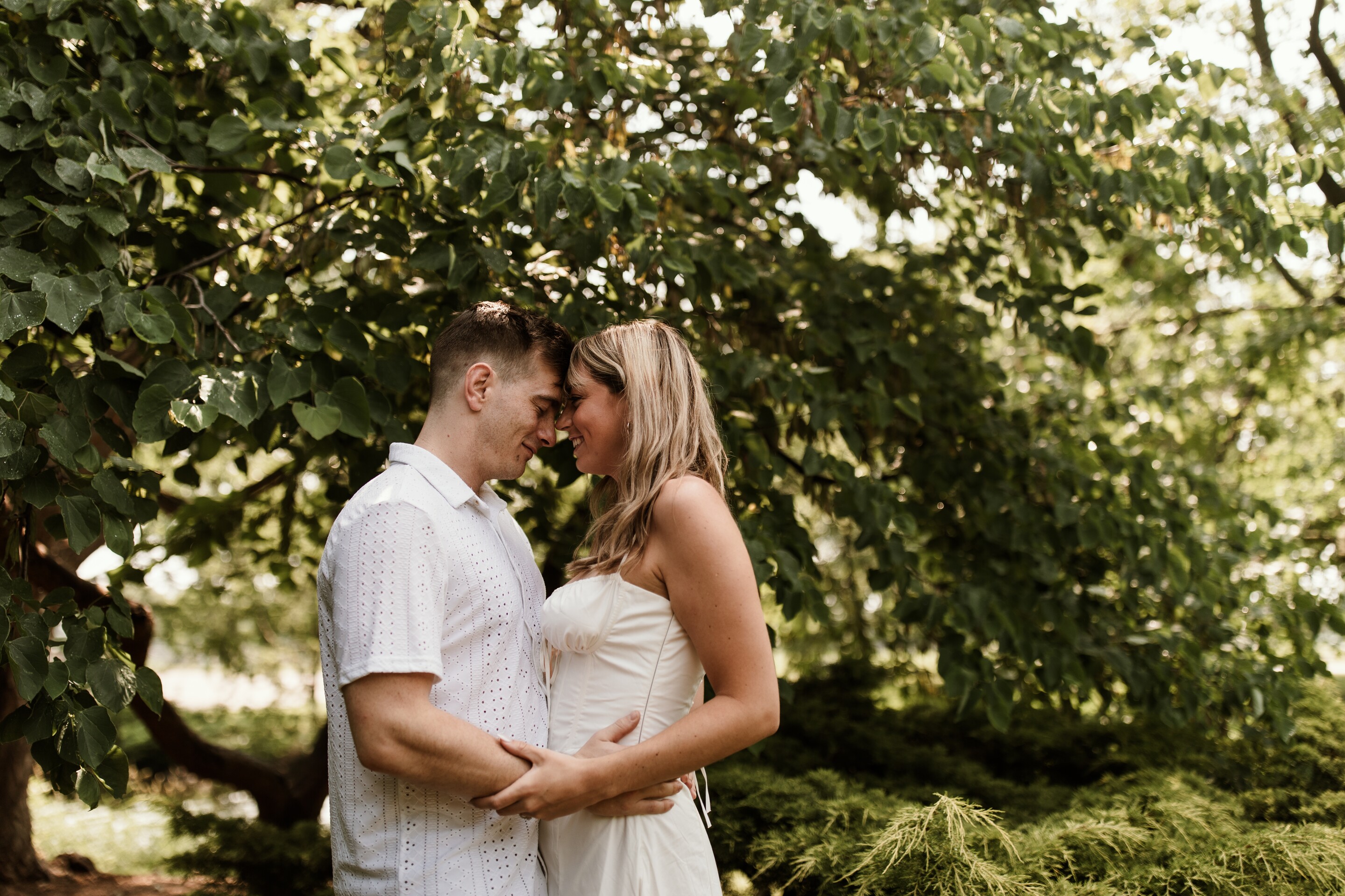 Haley & Cameron Home Page Banner