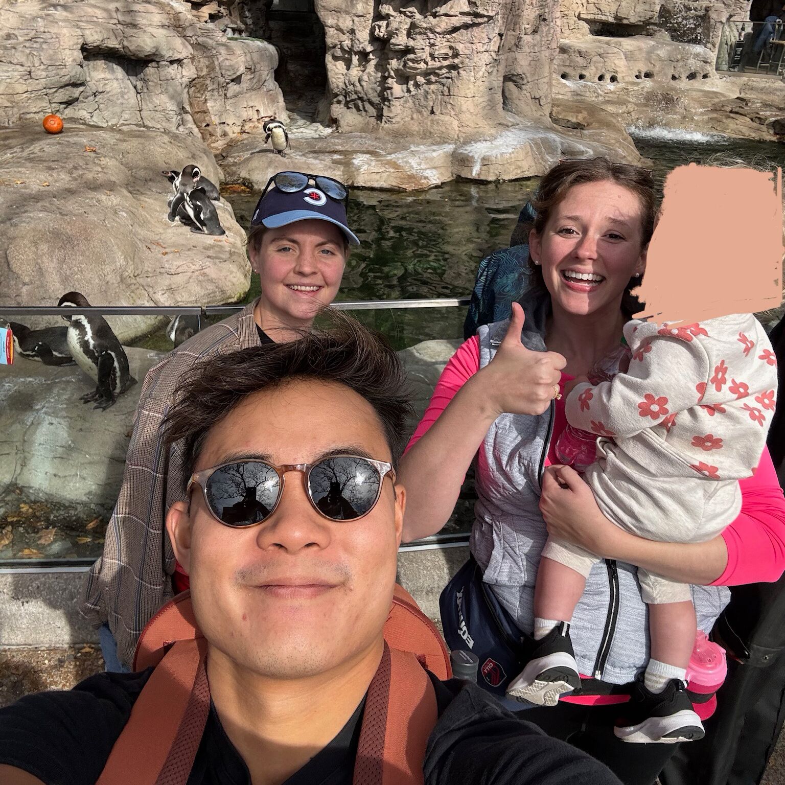Picture of Saint Louis Zoo