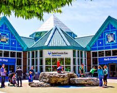 Picture of St. Louis Zoo