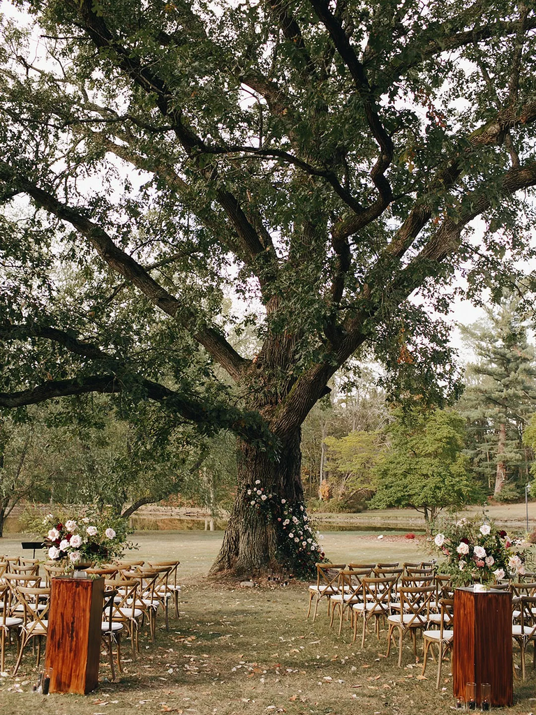 A wedding ceremony site set at the foot of an ancient oak tree.