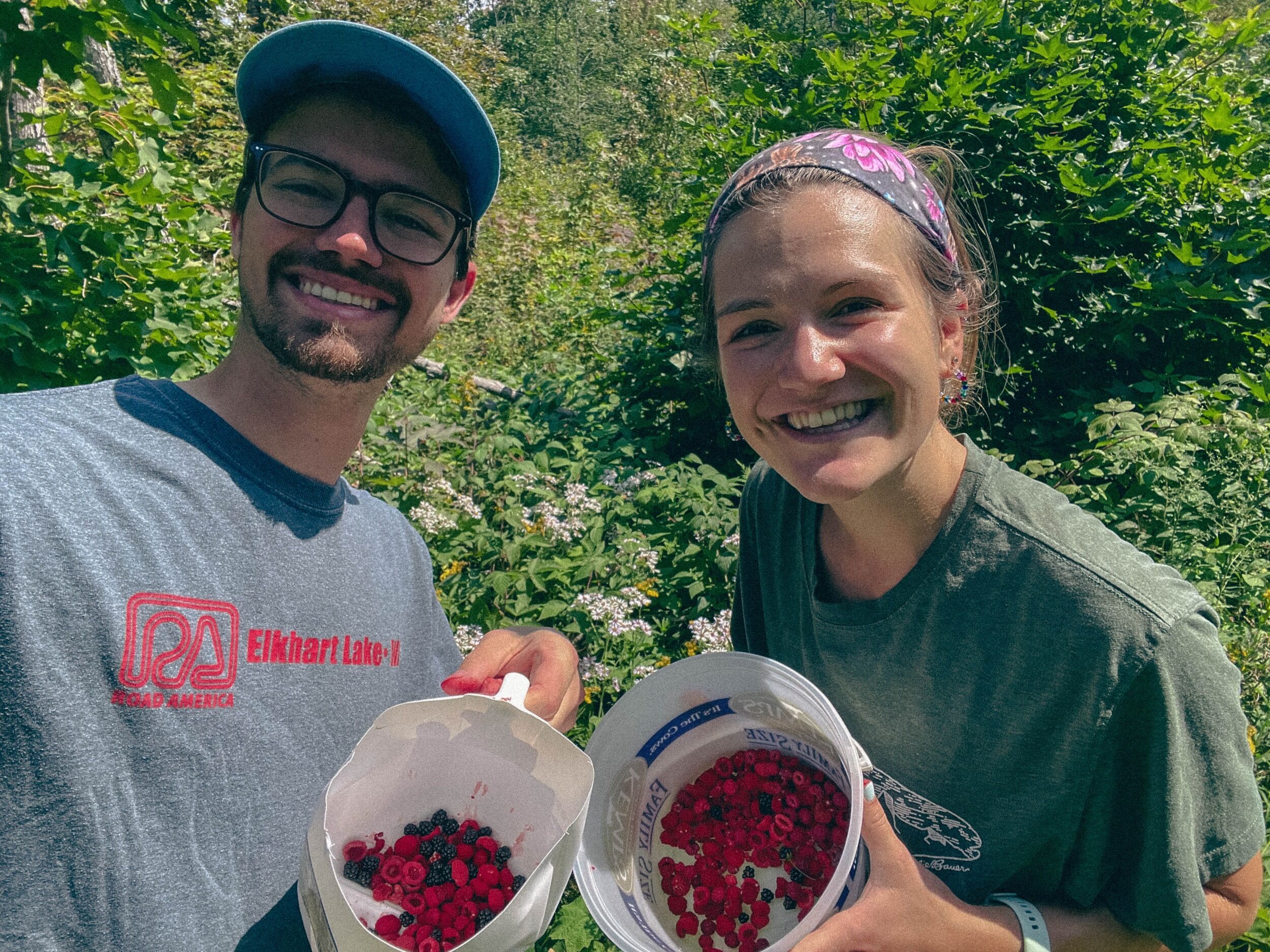 Picture of Berry Picking