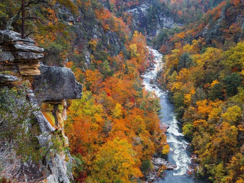 Picture of Tallulah Gorge State Park