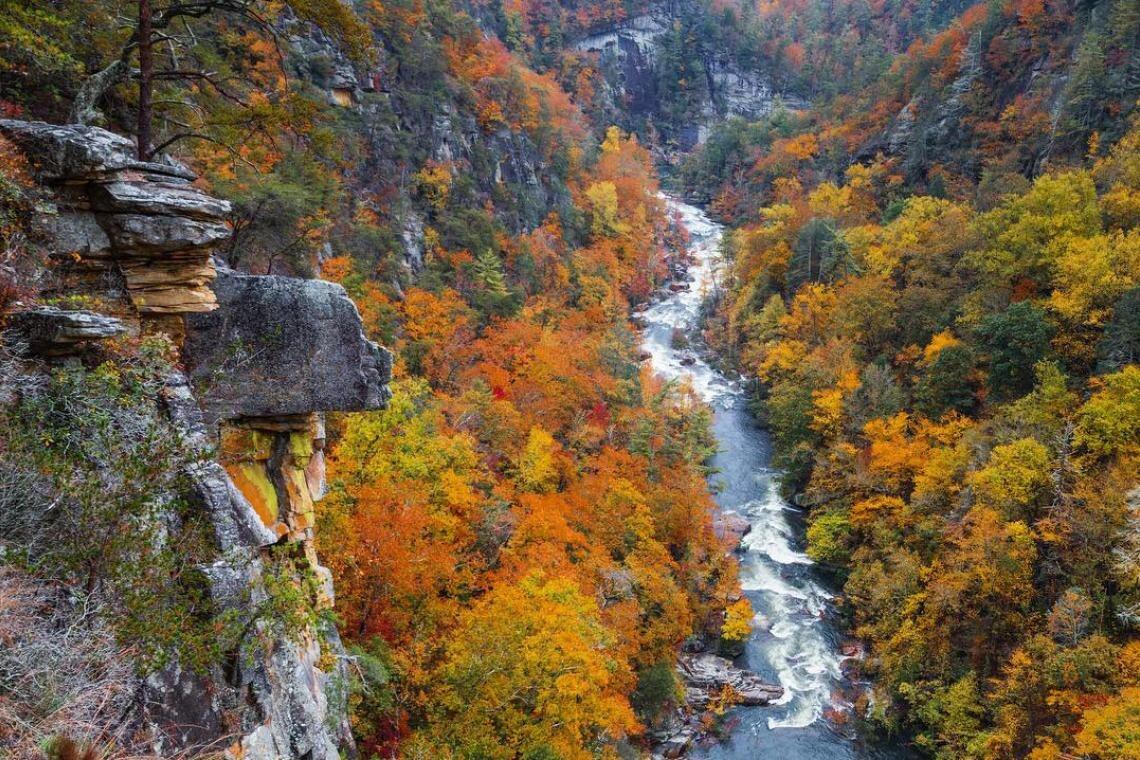Picture of Tallulah Gorge State Park