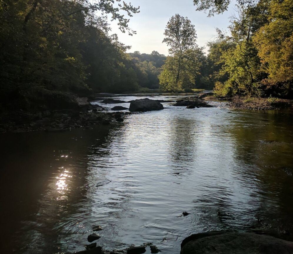 Picture of Rappahannock River Campground