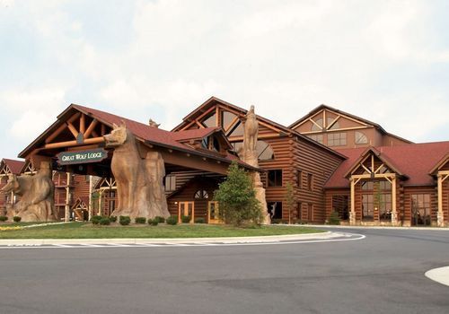 Picture of Great Wolf Lodge Mason