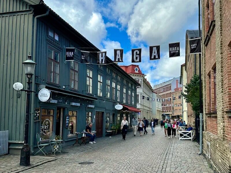 Picture of Haga NyGata 17 ️