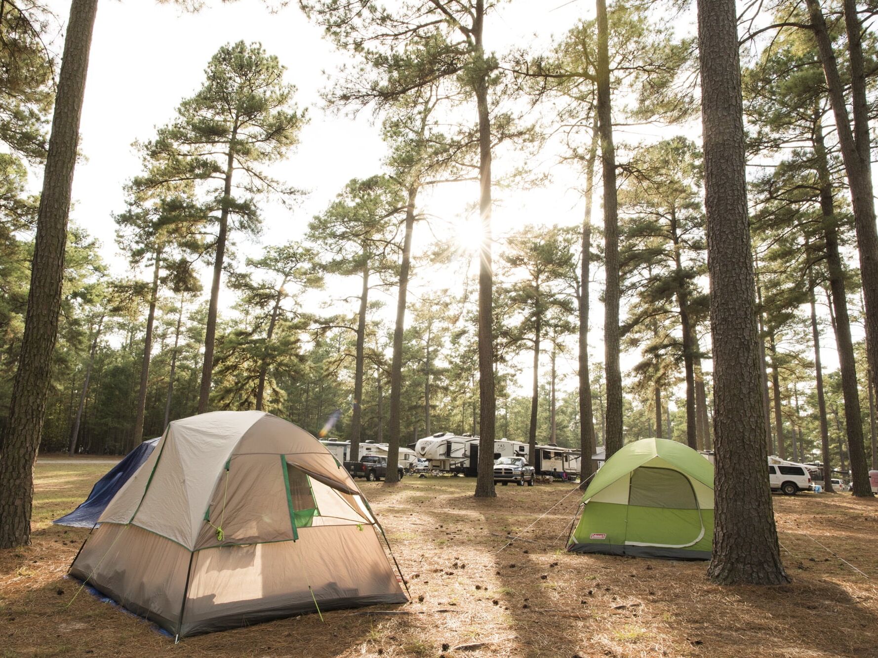 Picture of Campsites at The ALERT Academy