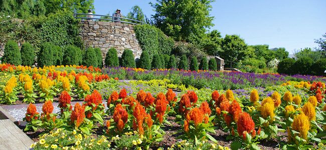 Picture of The North Carolina Arboretum