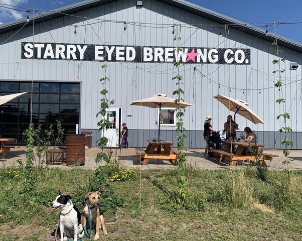 Picture of Starry Eyed Brewing