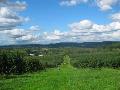 Picture of Pennings Farm Market, Beer Garden & Cidery