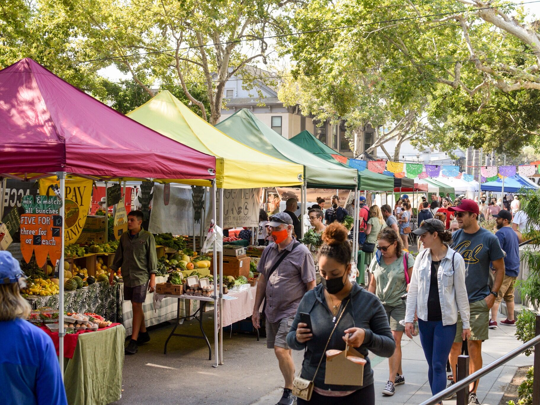 Picture of Midtown Farmers Market