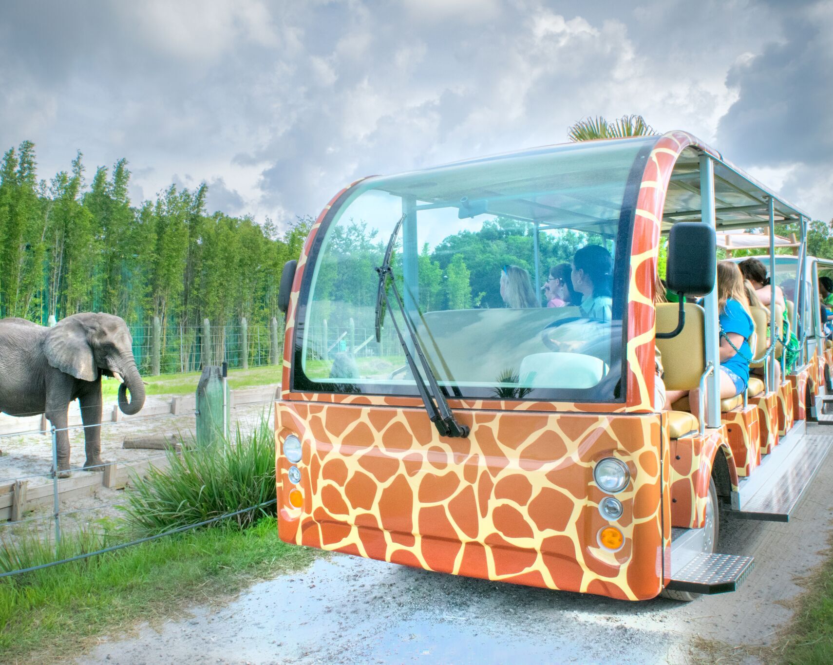 Picture of ZooTampa at Lowry Park