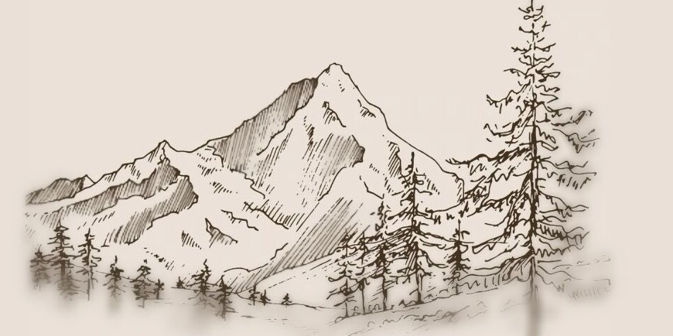 Lexi & Zach Home Page Banner