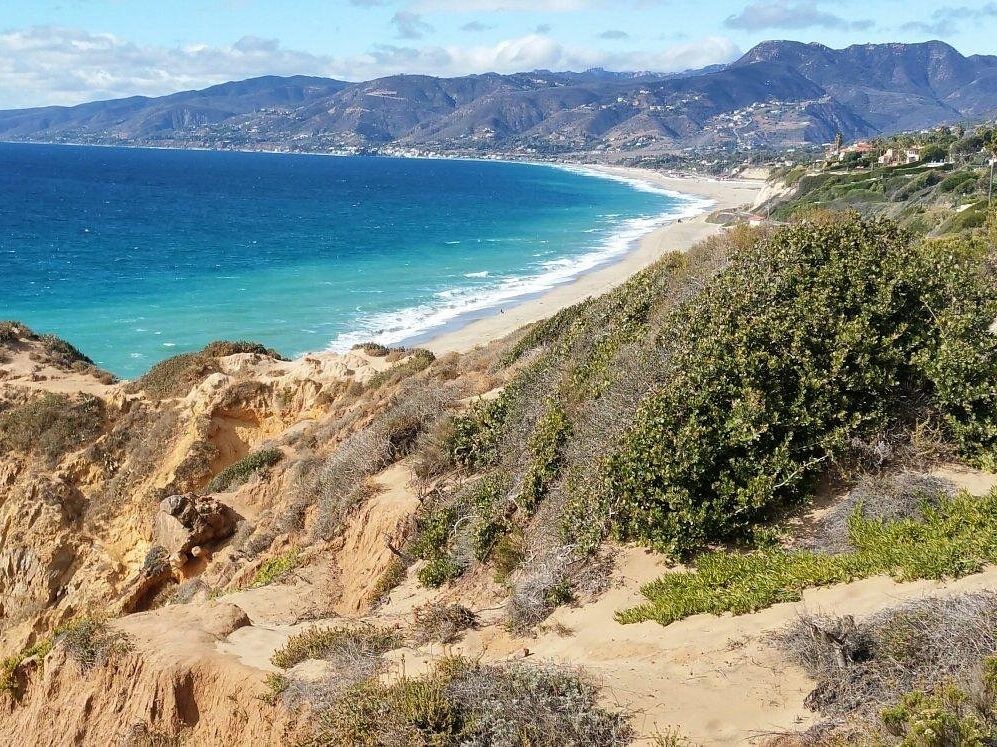 Picture of Point Dume Natural Preserve