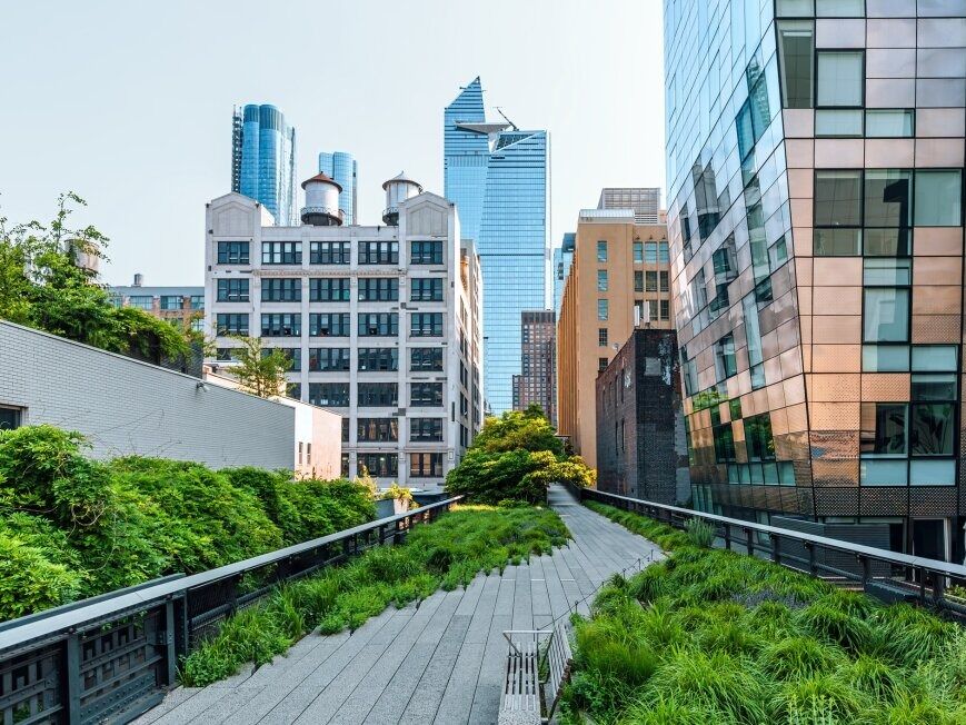 Picture of The High Line