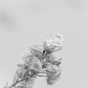 Gallery Photo 14