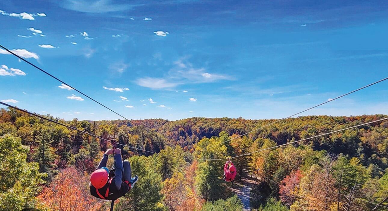 Picture of Red River Gorge Ziplines