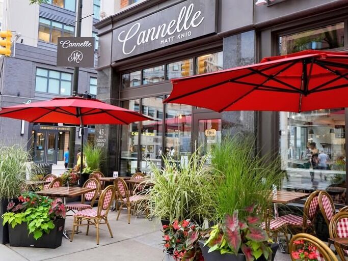 Picture of Cannelle by Matt Knio