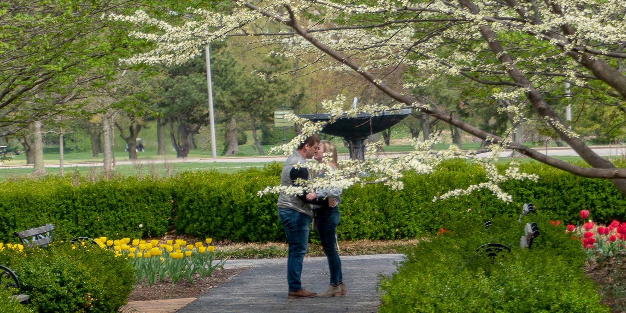 Picture of The Proposal