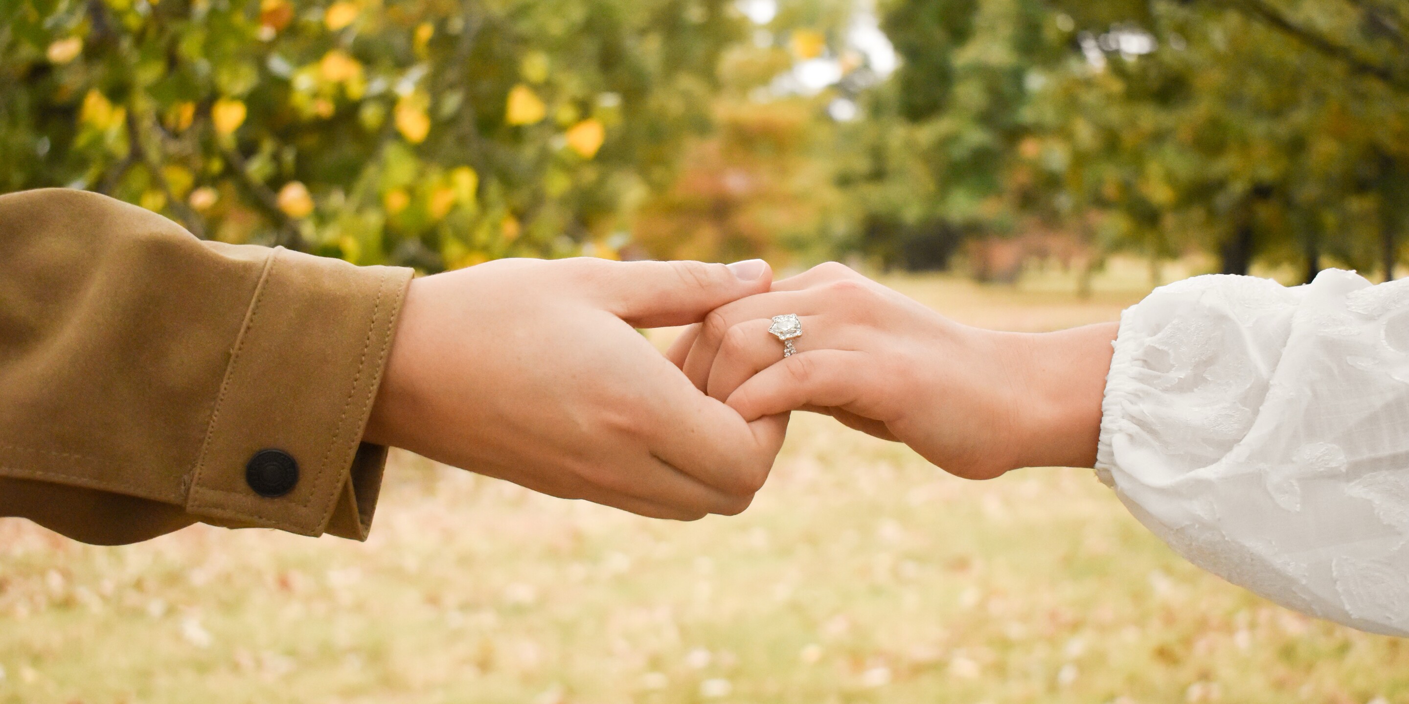 Louis & Paige Home Page Banner