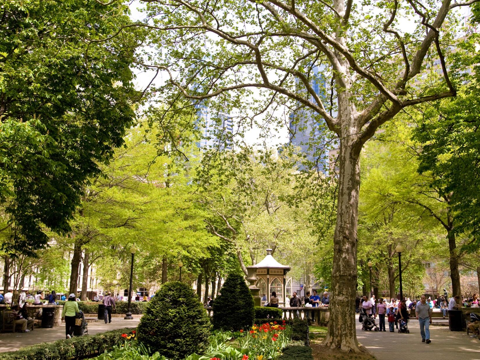 Picture of Rittenhouse Square